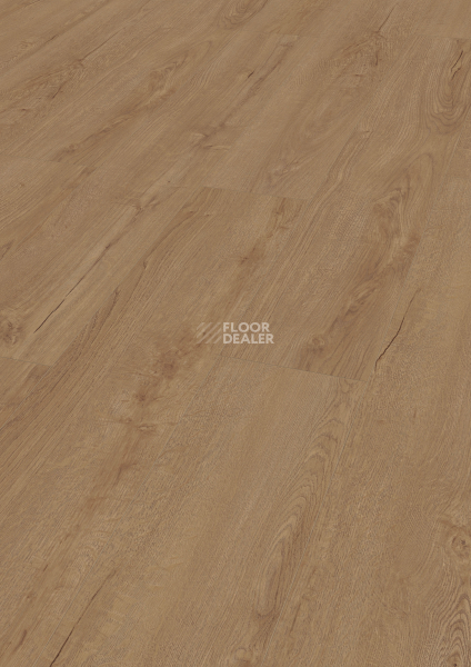 Ламинат Kronotex Exquisit 8мм d41212 Дуб Горизонт шоколад фото 1 | FLOORDEALER